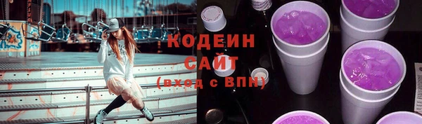 крисы Магас