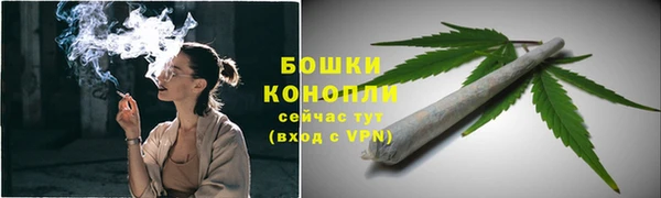 крисы Магас