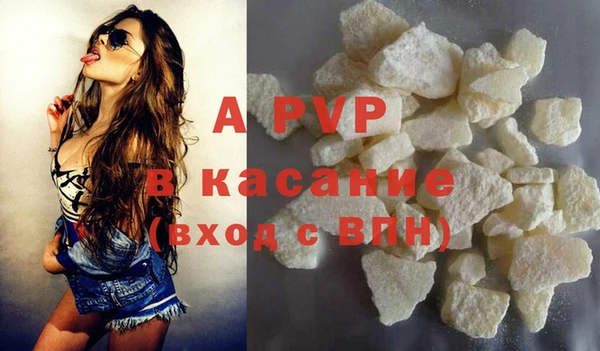крисы Магас