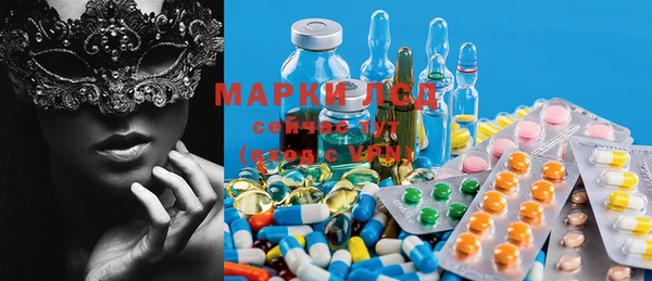 крисы Магас