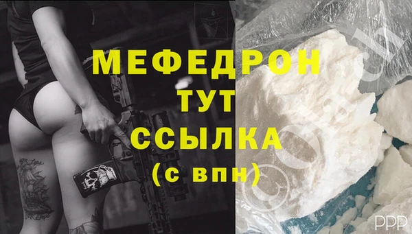 крисы Магас