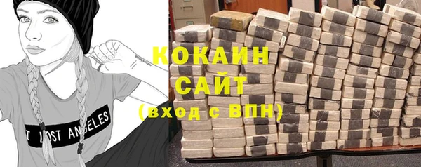 крисы Магас