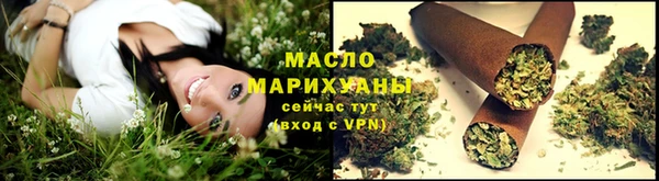 крисы Магас
