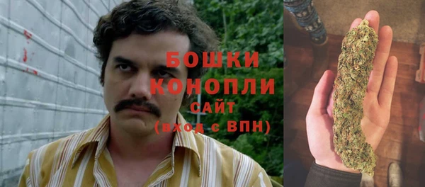 крисы Магас