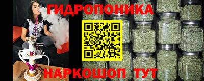 стафф Краснознаменск