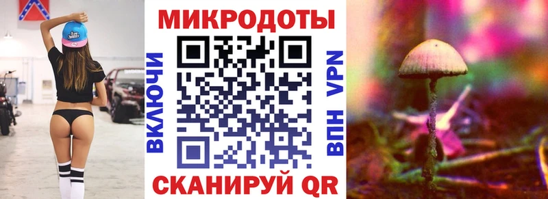 Галлюциногенные грибы Psilocybe закладки Троицк