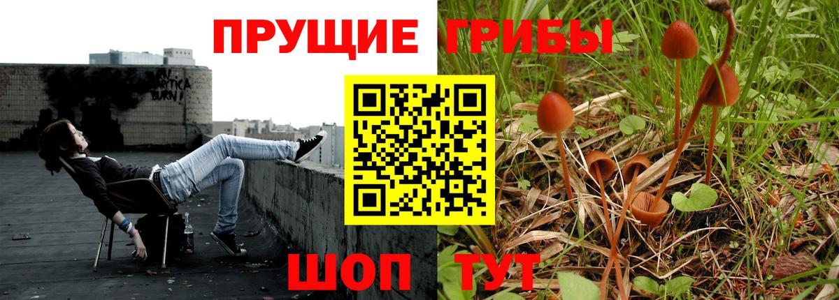 Галлюциногенные грибы ЛСД  Вход с VPN  Галлюциногенные грибы мухоморы  Троицк 