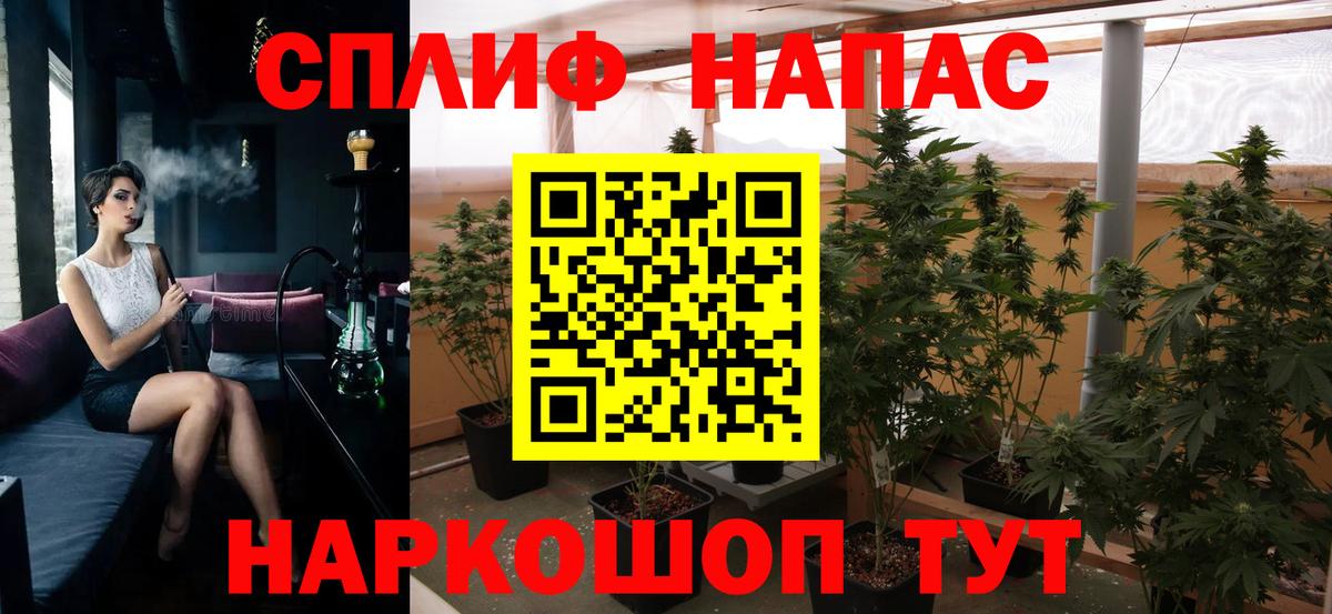 Каннабис сатива Троицк